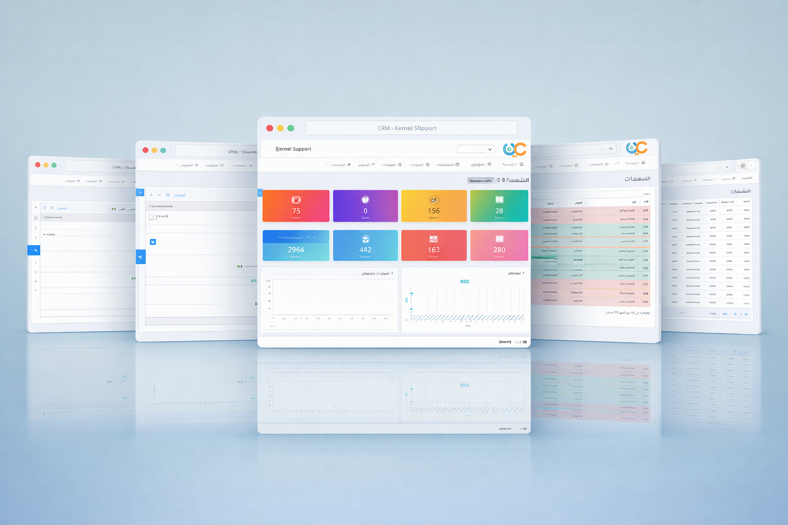 Ein El-Lozeh Medical Center - Healthcare · CRM